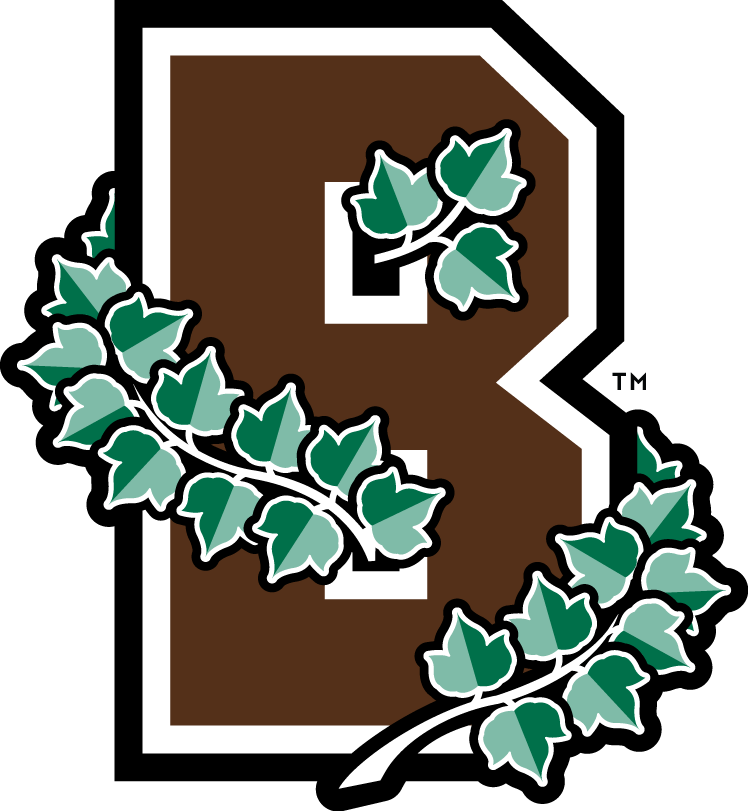 Brown Bears 2003-Pres Alternate Logo diy DTF decal sticker